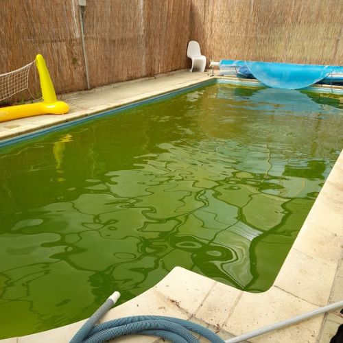 green, dirty swimming pool